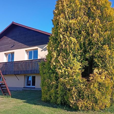 Vila Marianna Destne v Orlickych horach Exterior foto