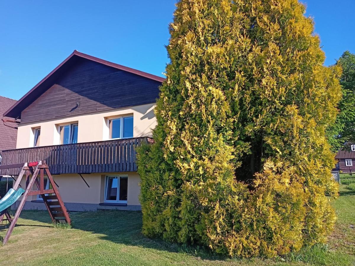 Vila Marianna Destne v Orlickych horach Exterior foto